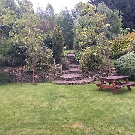 Clone House Hotel 4*