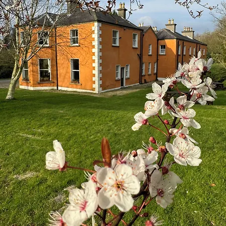 Clone House 4*