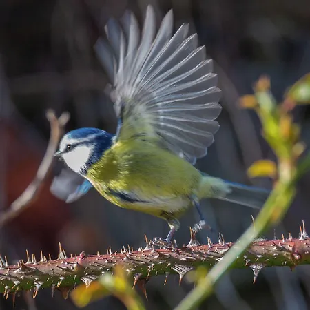Hotel Clone House Aughrim