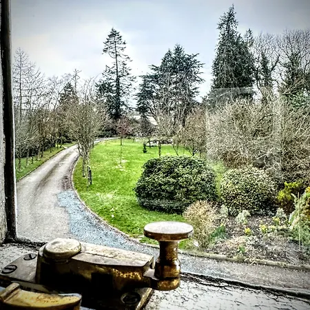 Clone House فندق 4*